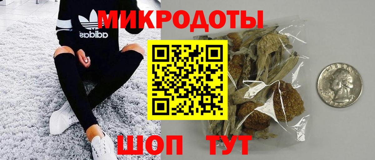 Галлюциногенные грибы мицелий Чернушка