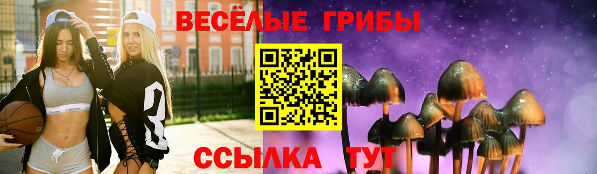 Псилоцибиновые грибы Psilocybe  Вход с VPN  Чернушка 